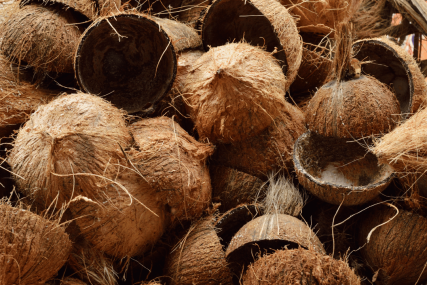 coconut shell charcoal coconut shell charcoal